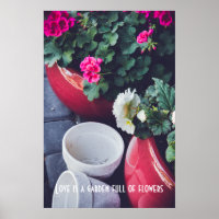Pink and white garden geranium flowers