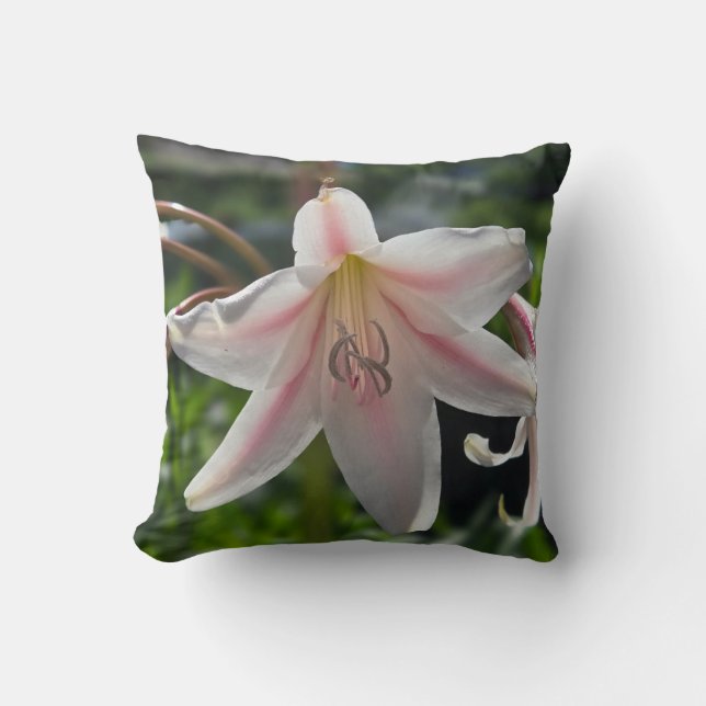 Pink and White Lily Cushion (Front)
