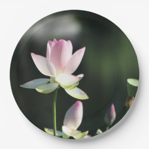 Pink and White Lotus Flower Paper Plate