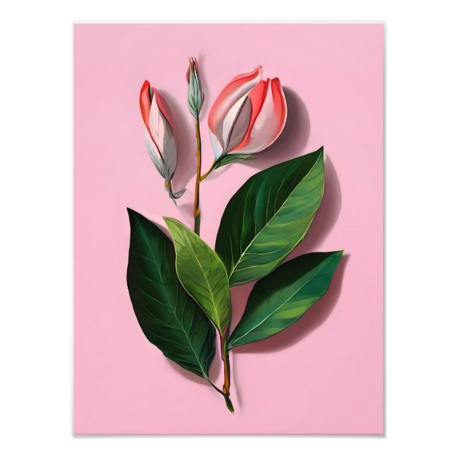Pink and White Magnolia Flower Photo Print (Front)