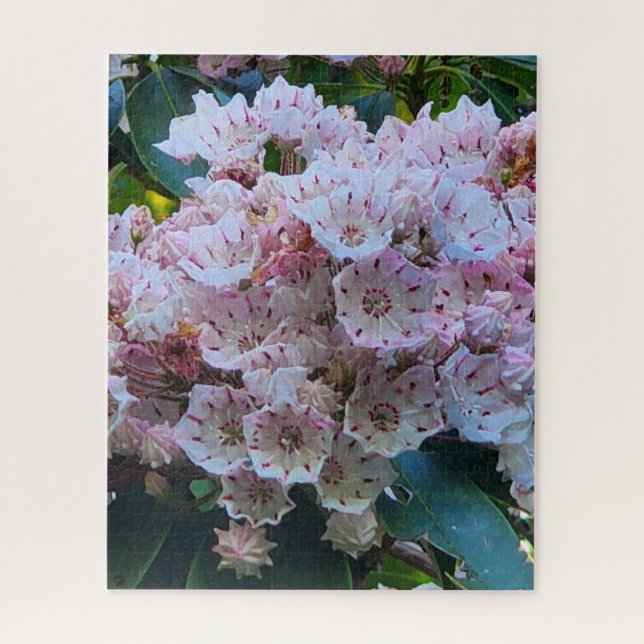 Pink and White Mountain Laurel Flowers Jigsaw Puzzle (Vertical)
