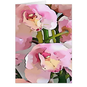 Pink and White Orchid