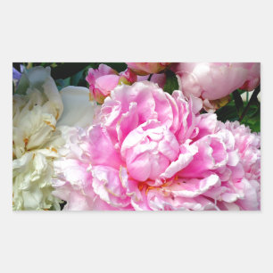 Pink and White Peonies Rectangular Sticker