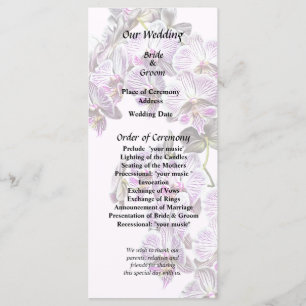 Pink and White Phalaenopsis Orchids Programme