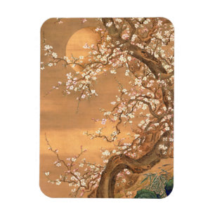 Pink and White Plum Blossoms in Moonlight, Shizan Magnet