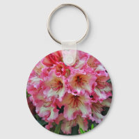 Pink and white rhododendron flowers