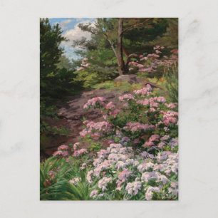 Pink and White Rhododendron Thomas Allen, Jr. Postcard