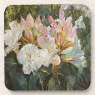 Pink and White Rhododendrons Deep Green Foliage Coaster