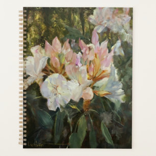 Pink and White Rhododendrons Deep Green Foliage Planner