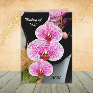 Pink and White Speckled Orchids, Note Cards