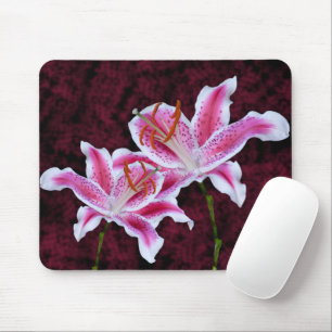Pink and White Stargazer Lily Close Up Photograph Mouse Pad
