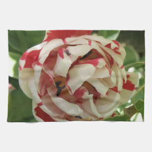 Pink and White Tulip Kitchen Towel