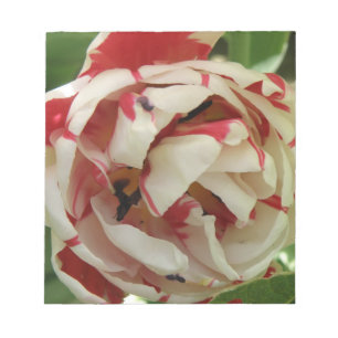 Pink and White Tulip Notepad