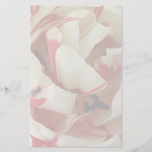 Pink and White Tulip Stationery (Front)