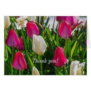 Pink And White Tulips Painterly Thank You Card