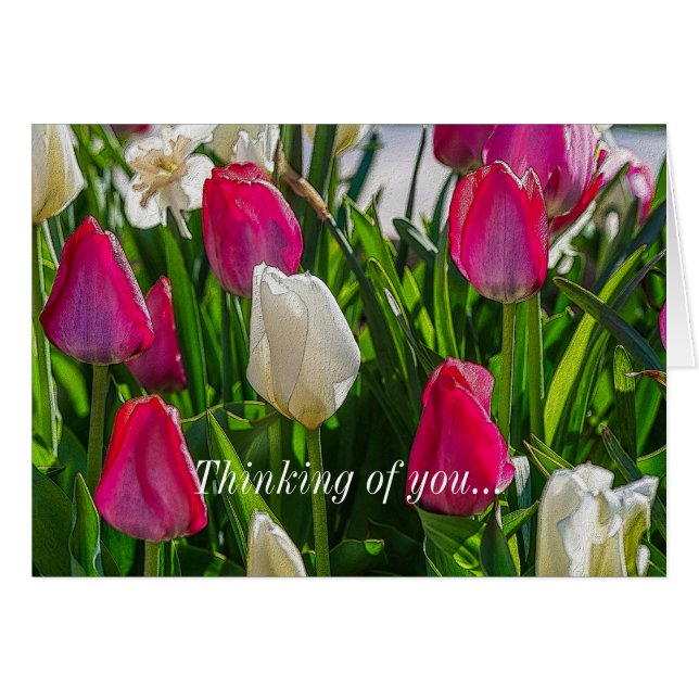 Pink And White Tulips Painterly Thinking Of You (Front Horizontal)
