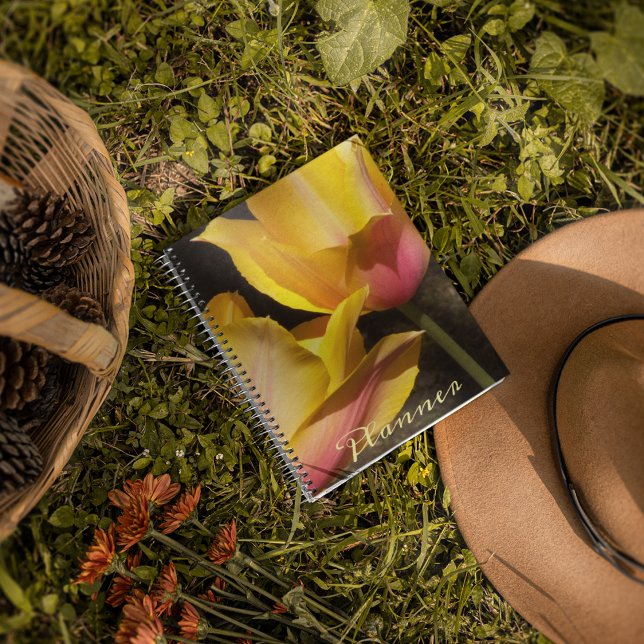 Pink and Yellow Bicolor Tulips Floral Planner (In Situ)