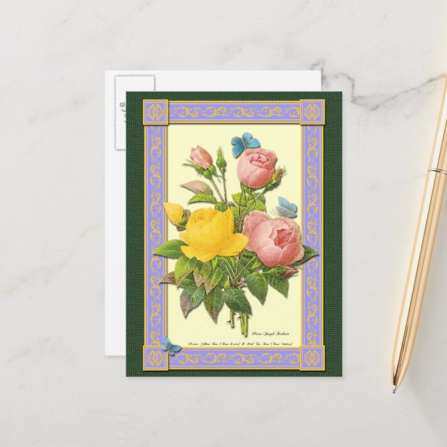 Pink and Yellow Botanical Roses Blank Postcard (Front/Back In Situ)