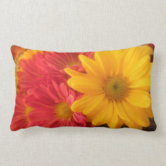 Pink and Yellow Daisies Lumbar Cushion