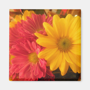 Pink and Yellow Daisies Magnet