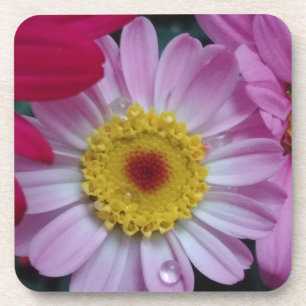 Pink and yellow flower coaster