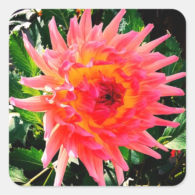 Pink and yellow flower square sticker (Front)