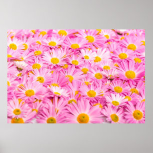 Pink and yellow flowers background poster