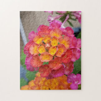 Pink and Yellow Lantana Puzzle