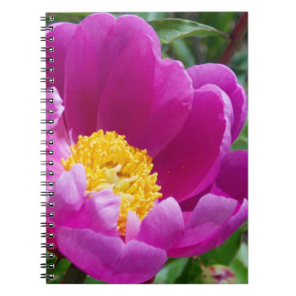 Pink And Yellow Peony Notebook