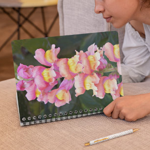 Pink and Yellow Snapdragons Floral Notebook