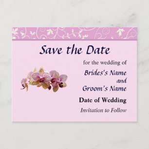 Pink and Yellow Striped Orchids Save the Date Announcement Postcard