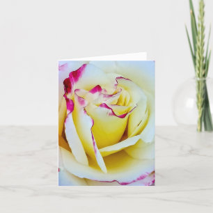 Pink and Yellow Tie Dye Rose for Mothers Day Holiday Card