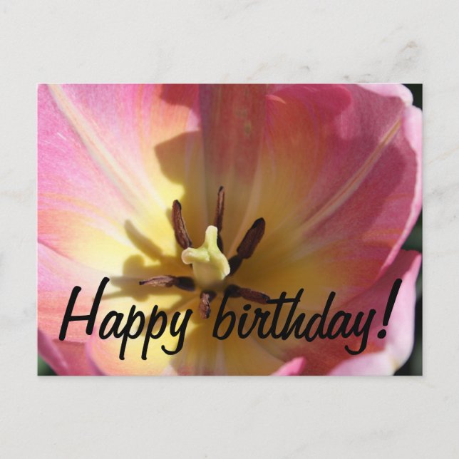 Pink and yellow tulip postcard (Front)