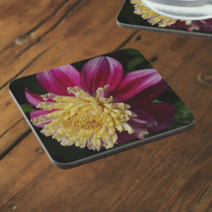 Pink Anemone Dahlia Bloom Floral Coaster