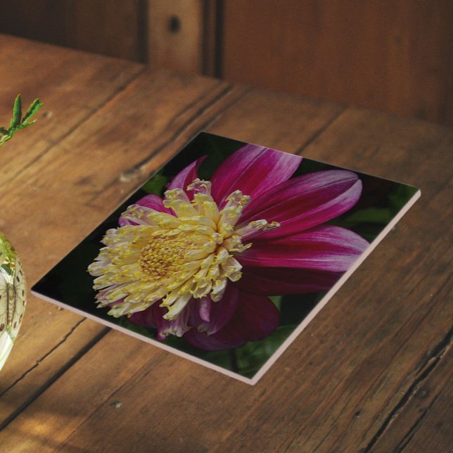 Pink Anemone Dahlia Bloom Floral Tile (In Situ)