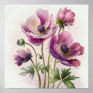 Pink Anemone Flowers Art Print Poster