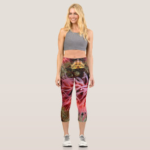 Pink Anemone High Waisted Capris