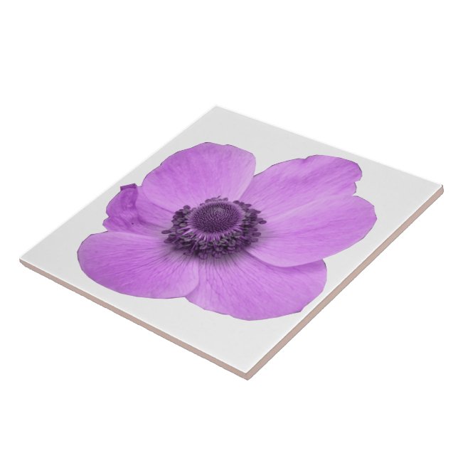 Pink Anemone Tile (Side)
