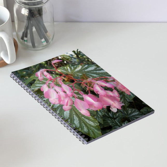 Pink Angel Wing Begonia Floral Notebook (In Situ)