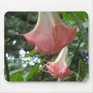 Pink Angels trumpet flowers Mouse Pad
