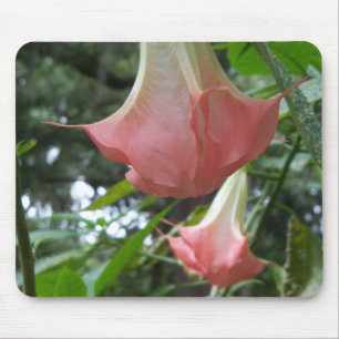 Pink Angels trumpet flowers Mouse Pad