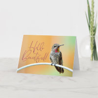 Pink Anna's Hummingbird Photo Hello Beautiful Card