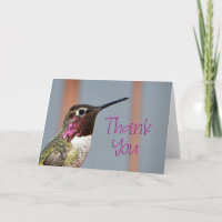 Pink Anna's Hummingbird Thank You Card