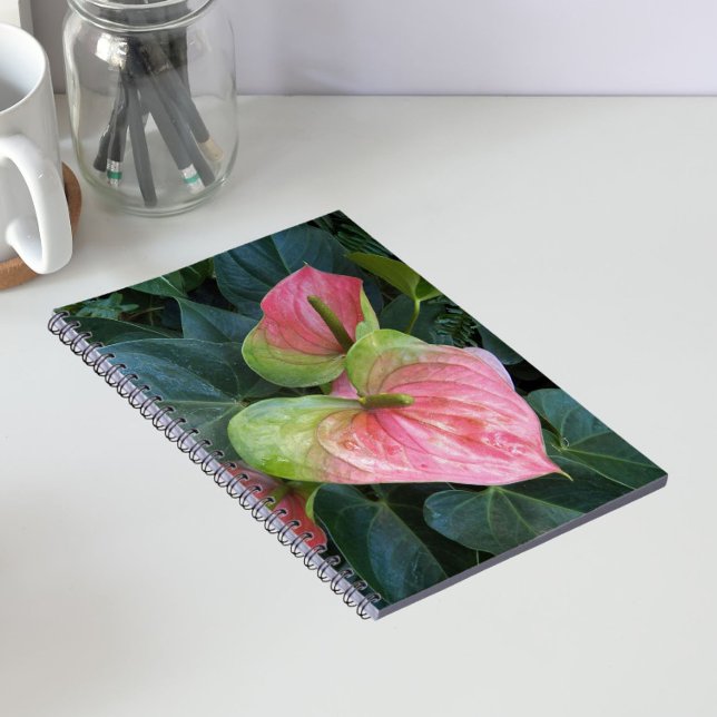 Pink Anthurium Flowers Floral Notebook (In Situ)