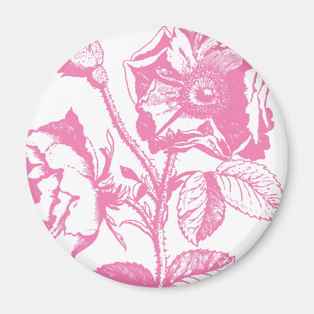 Pink Antique Rose Magnet (Front)