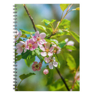 Pink apple blossom flowers spiral notebook
