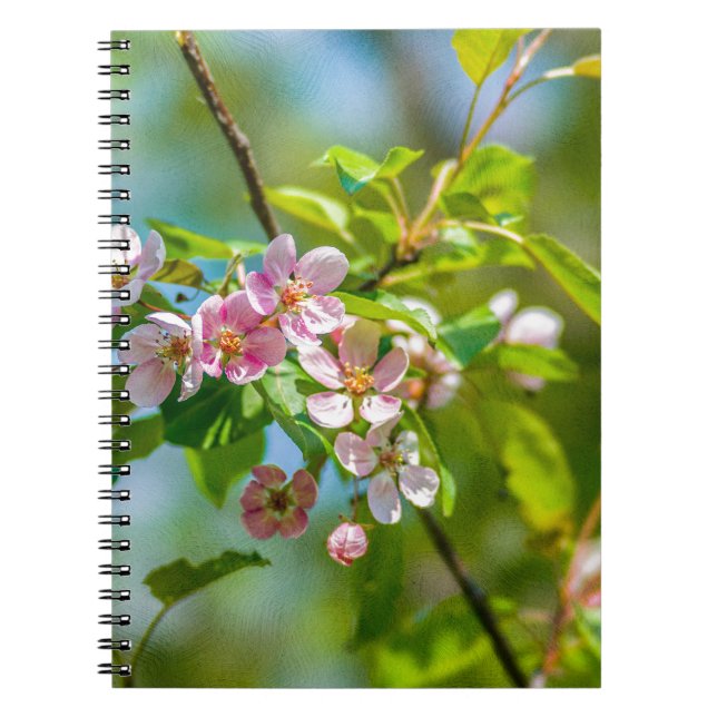 Pink apple blossom flowers spiral notebook (Front)