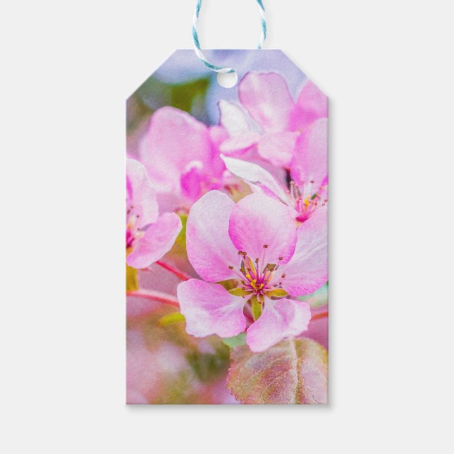 Pink Apple Blossom Gift Tags (Front)