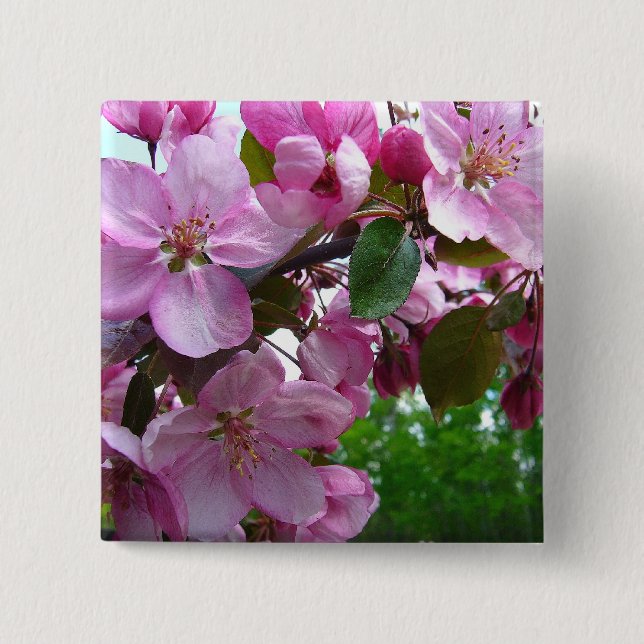Pink Apple Blossoms 15 Cm Square Badge (Front)