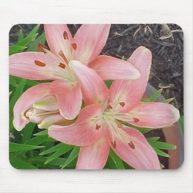 Pink Asiatic Lilies Mouse Pad (Front)